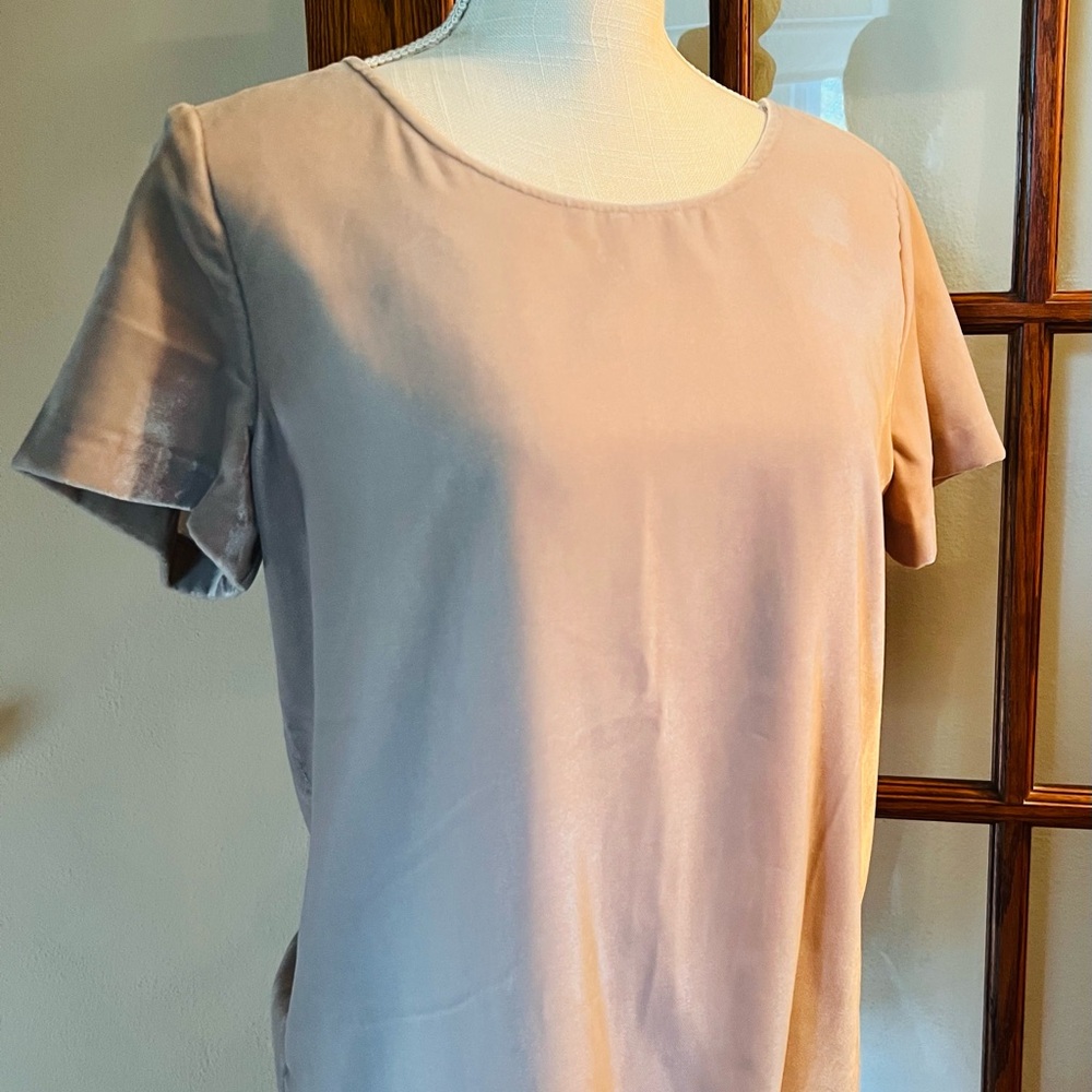 J. Crew Blush Pink Fitted Short Sleeve T-Shirt